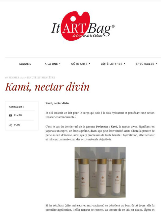 It Art bag