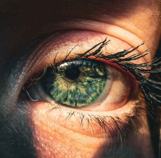 la vue, c'est la vie