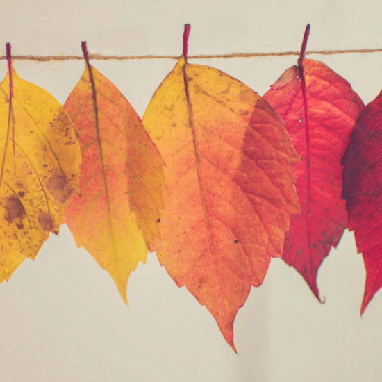 C'est l'automne : nos conseils essentiels