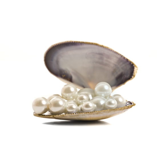 Poudre de perle (Zhen Zhu Fen) : le guide complet